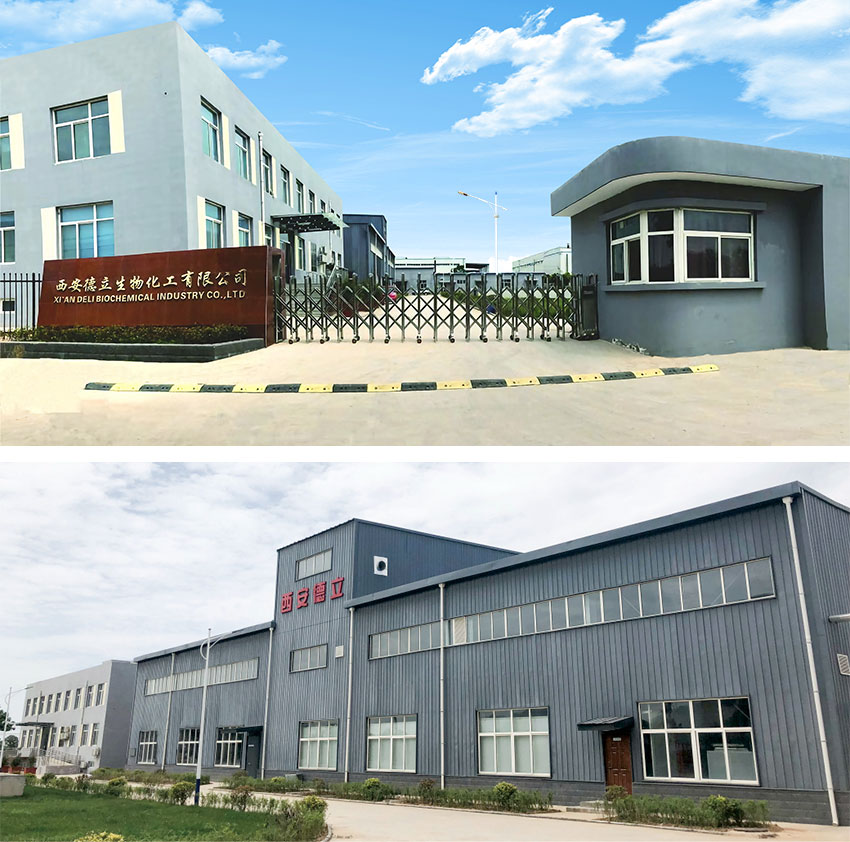 Xi'an Deli Biokimia Industry Co, Ltd: Inovasi utama ing turunan cyclodextrin, nguatake industri farmasi